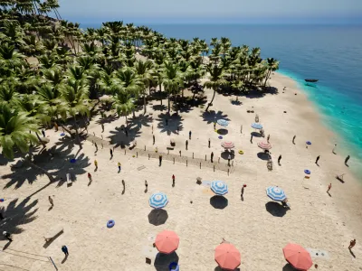 The whole spit in one frame: palm grove down the middle and both shores either side of it