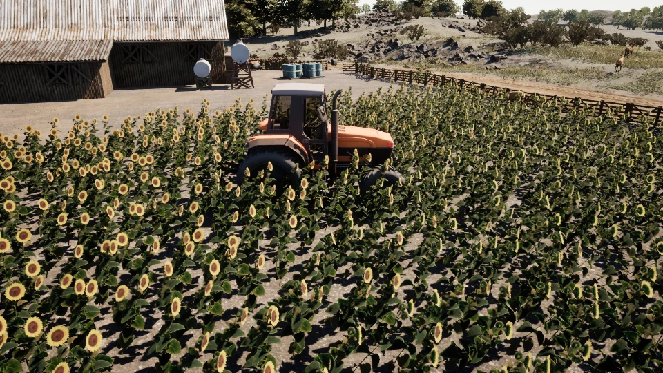 A frame from a spline camera capture: an orange tractor in a sunflower field beside a barn, seen from a flown viewpoint above and behind